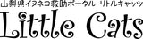 保護猫カフェ「リトルキャッツ」さまへ、メドチョイス吸着炭サプリを寄付させていただきました