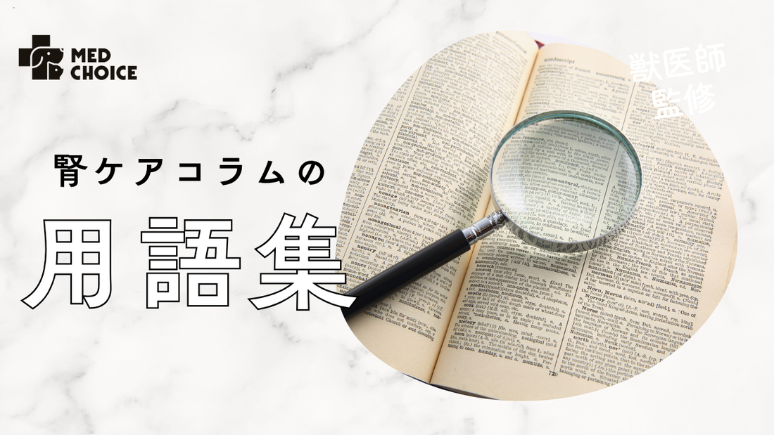 腎臓ケア用語集