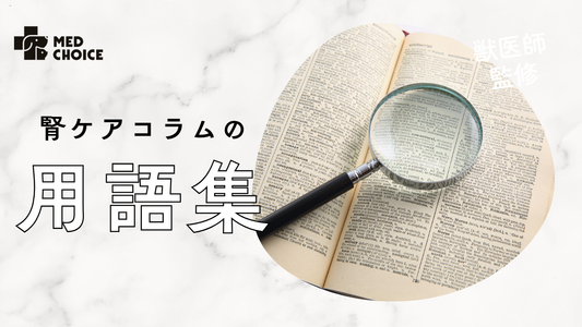 腎臓ケア用語集