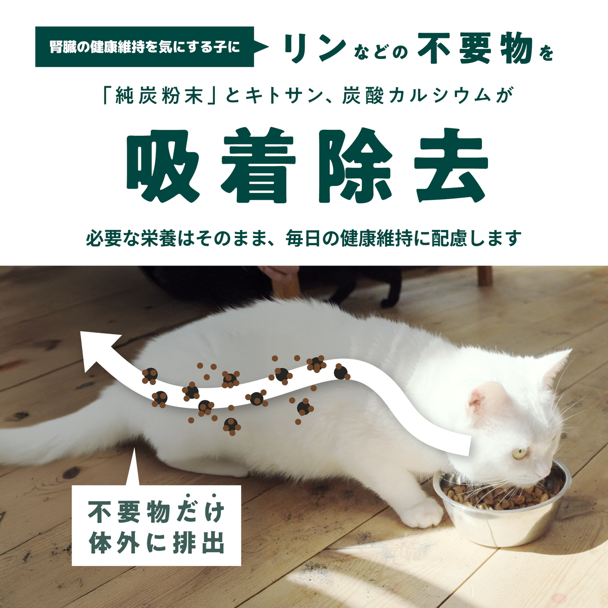 定期便：腎ケアカーボン（犬用）（お試しパック付き）