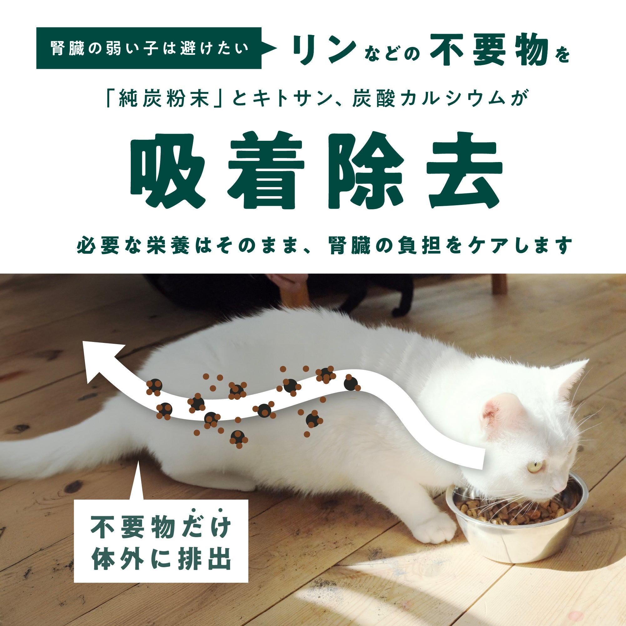 単品 ：腎ケアカーボン（猫用）（お試しパック付き） – MedChoice